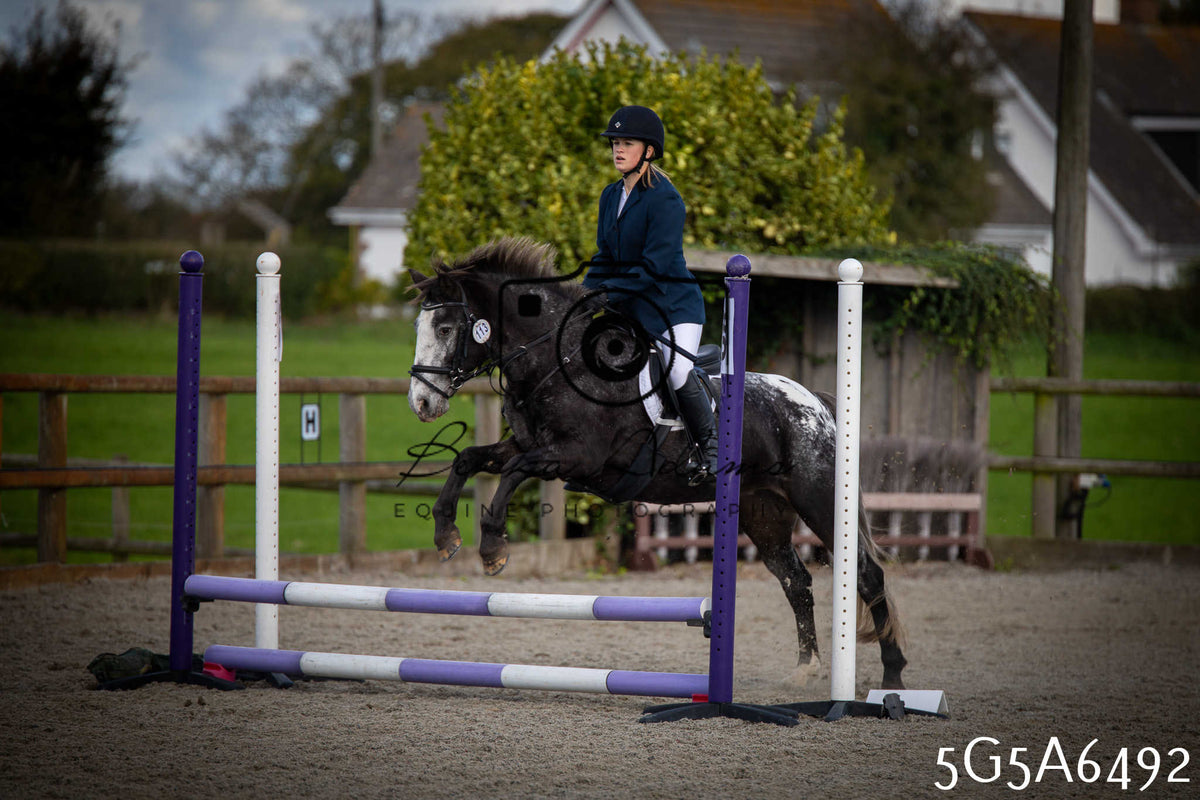 Funshine Show Jumping 2026 - Seniors