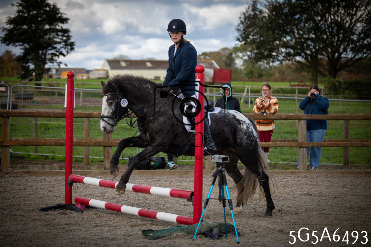 Funshine Show Jumping 2026 - Seniors