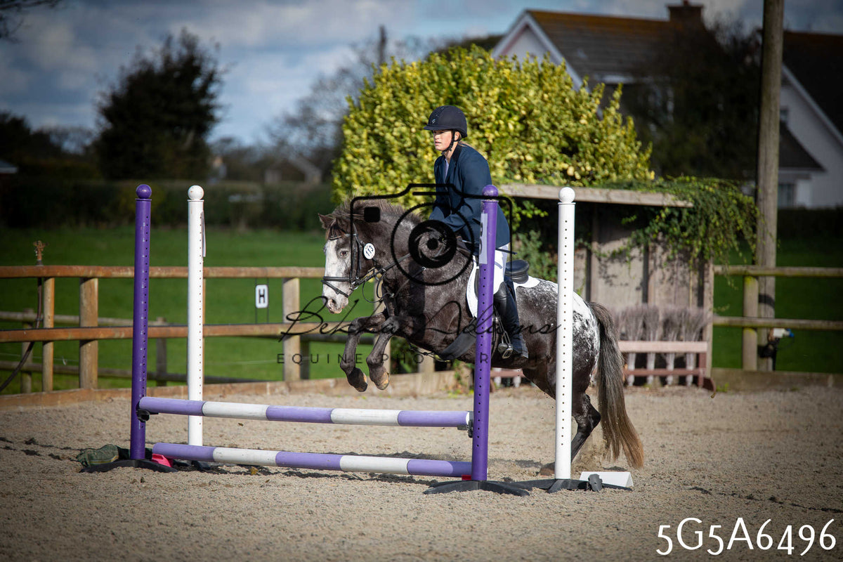 Funshine Show Jumping 2026 - Seniors