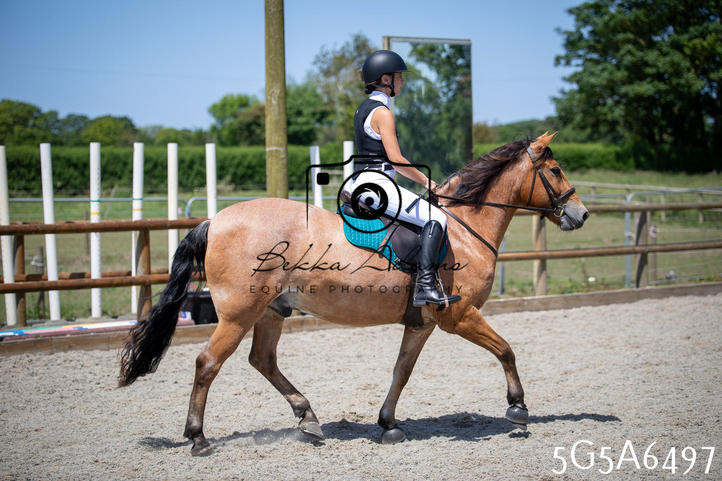 Home Farm Show Jumping 24th May 2026