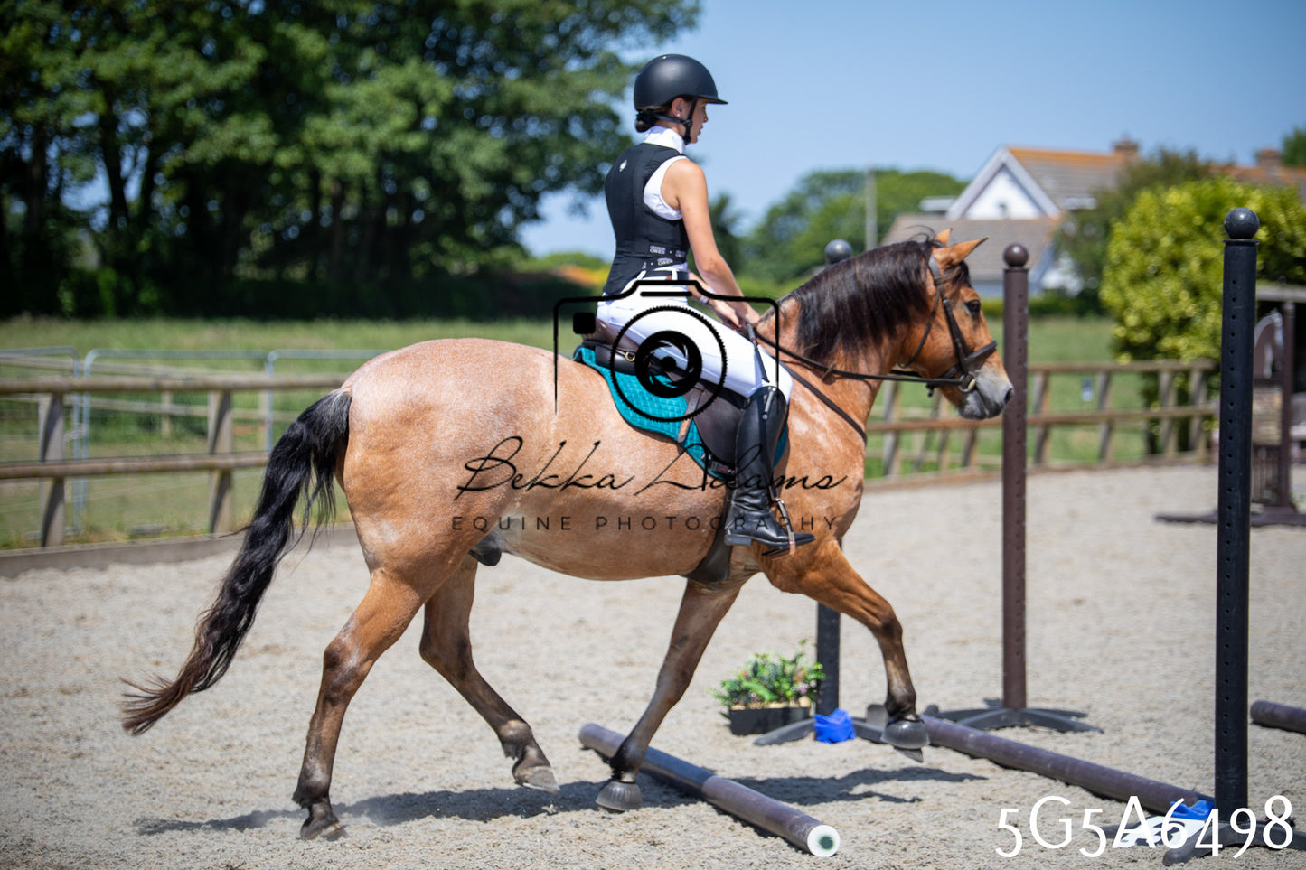 Home Farm Show Jumping 24th May 2026
