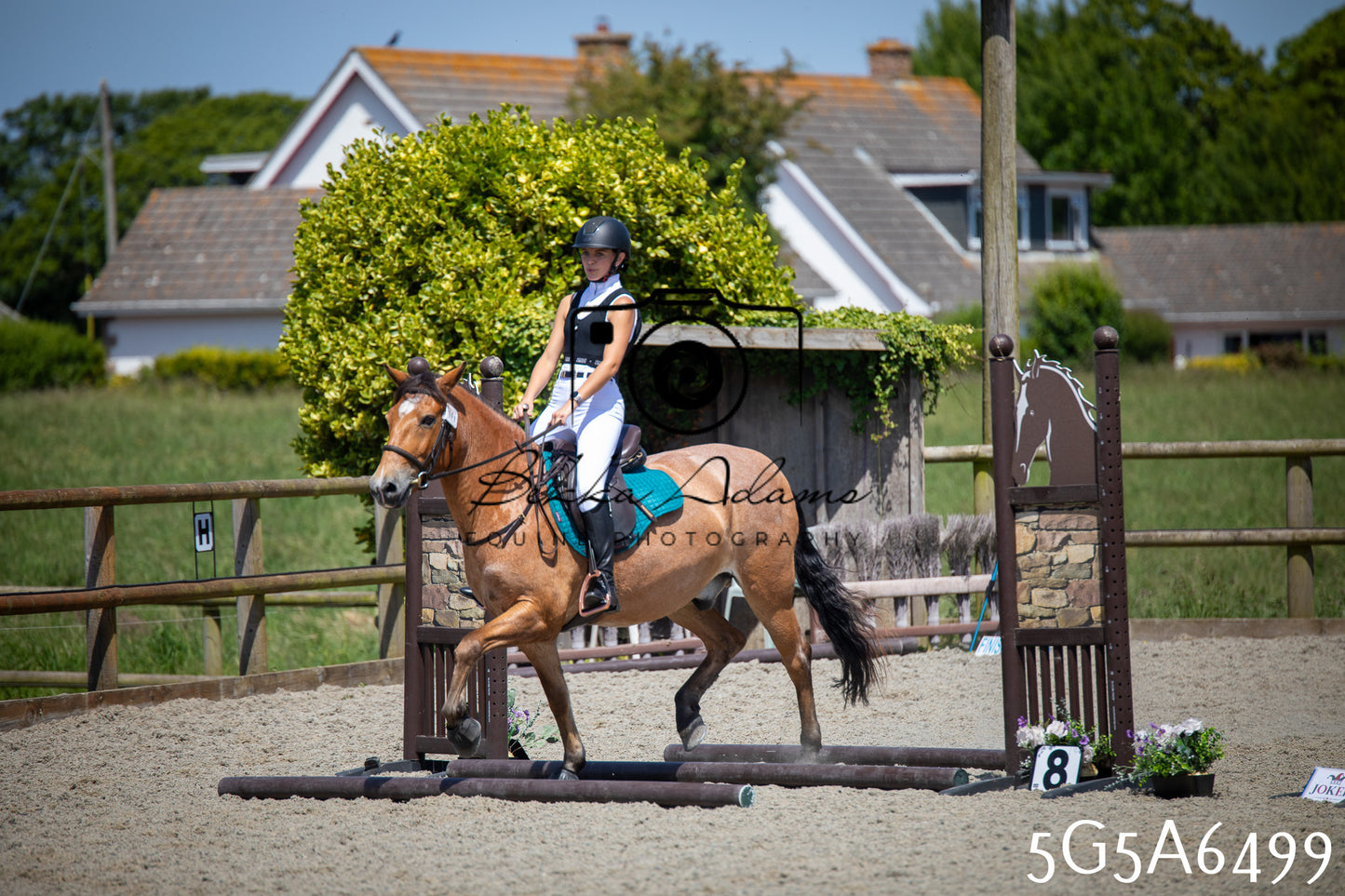 Home Farm Show Jumping 24th May 2026