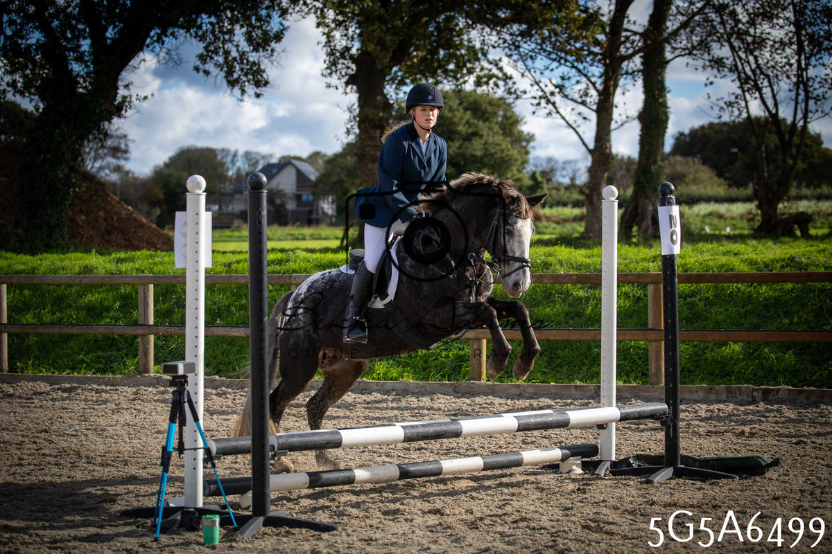 Funshine Show Jumping 2026 - Seniors