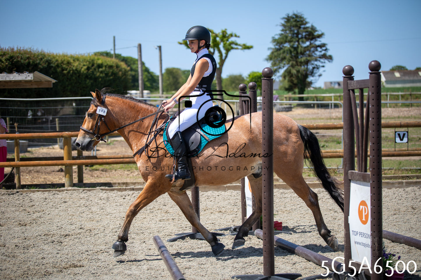 Home Farm Show Jumping 24th May 2026