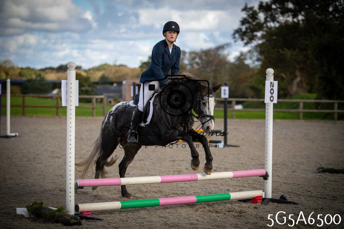 Funshine Show Jumping 2026 - Seniors