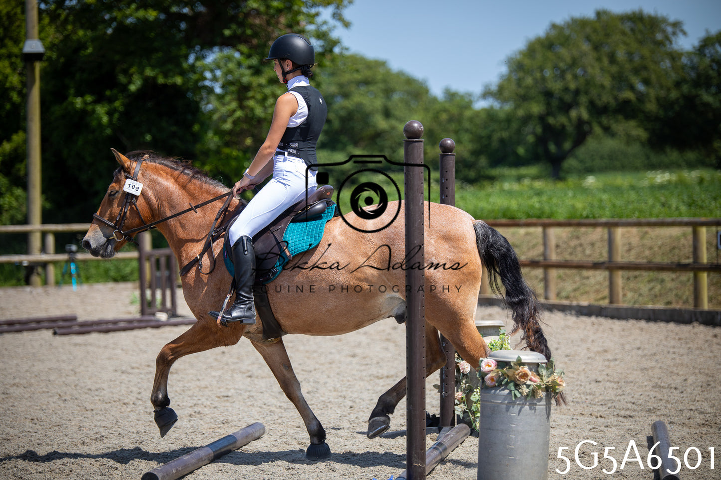 Home Farm Show Jumping 24th May 2026