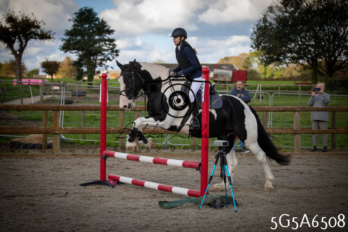Funshine Show Jumping 2026 - Seniors