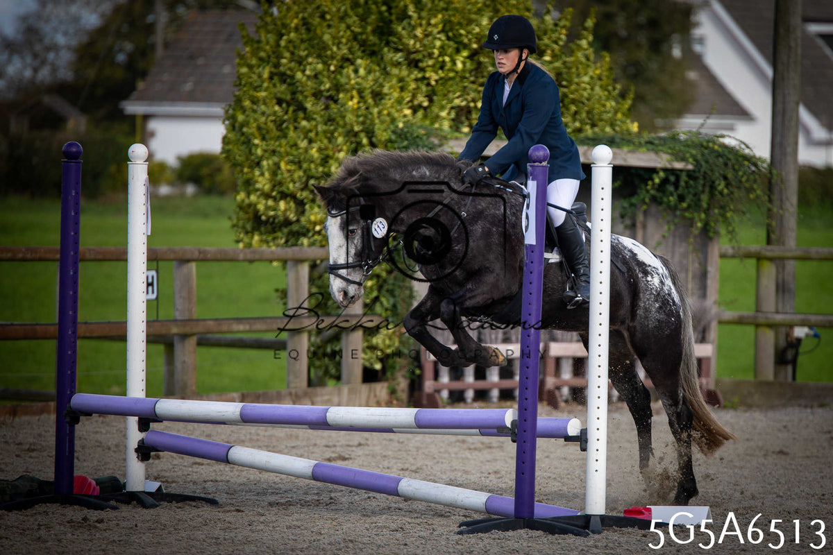 Funshine Show Jumping 2026 - Seniors