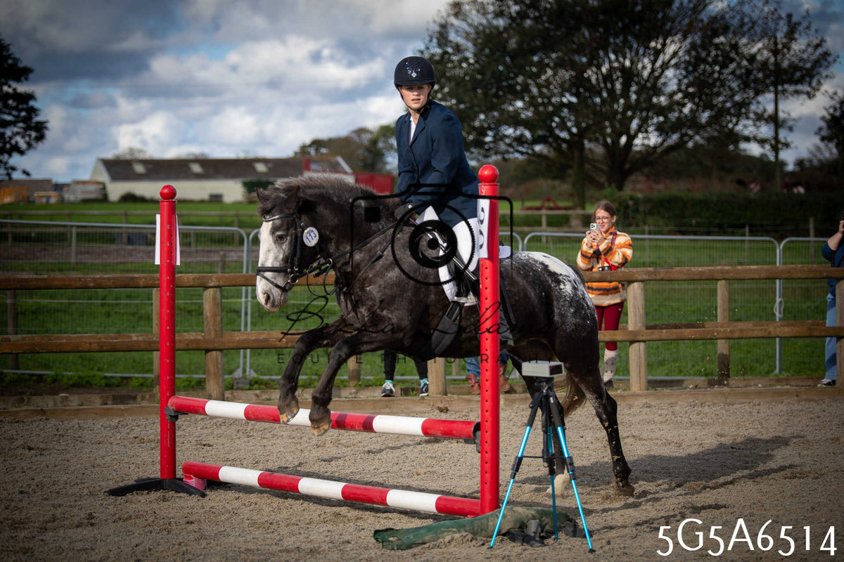 Funshine Show Jumping 2026 - Seniors