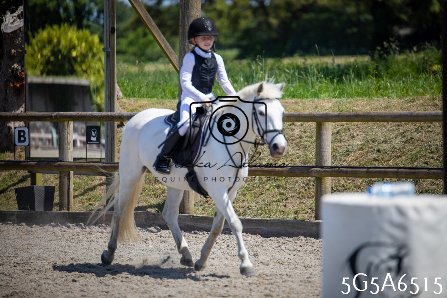 Home Farm Show Jumping 24th May 2026
