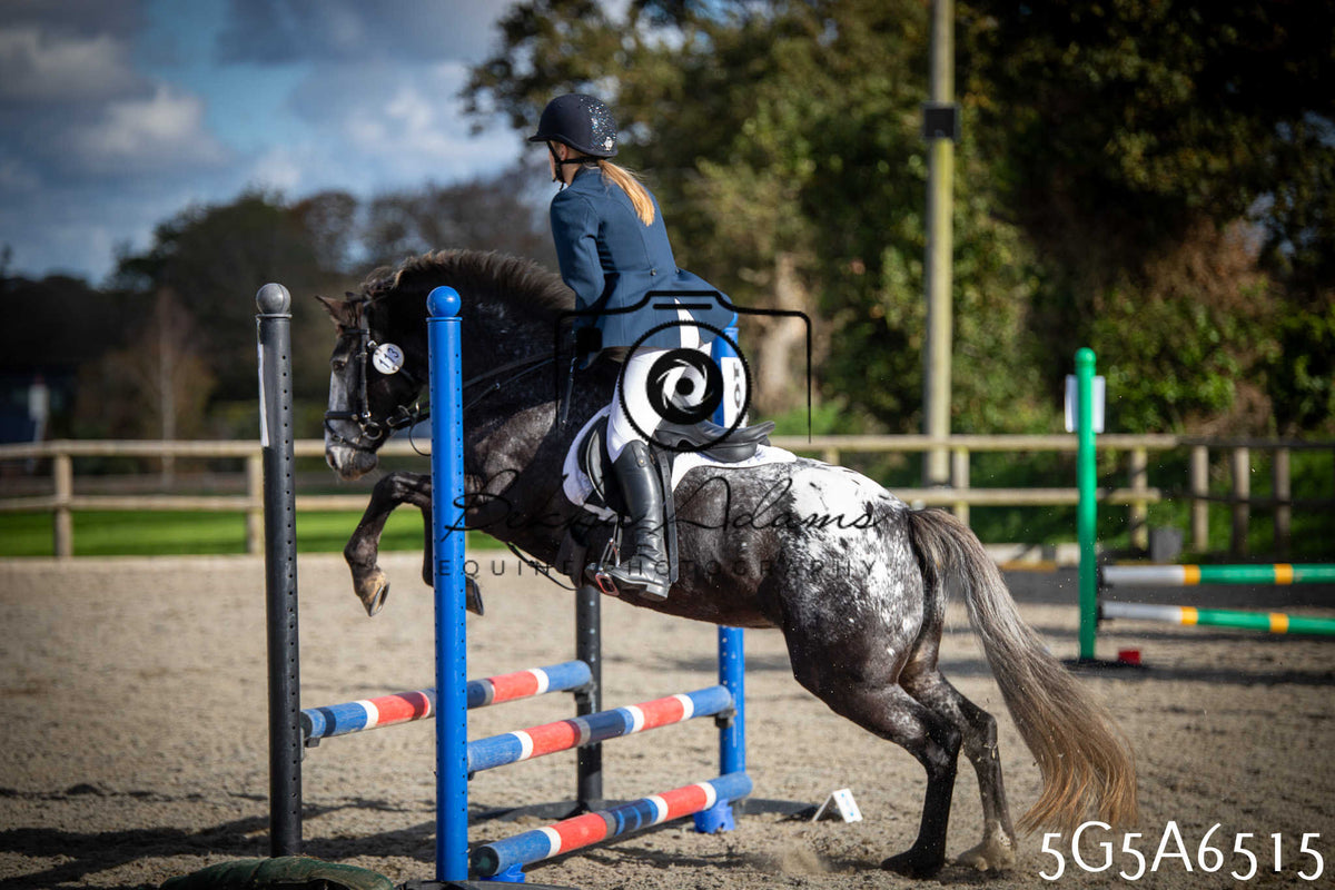 Funshine Show Jumping 2026 - Seniors