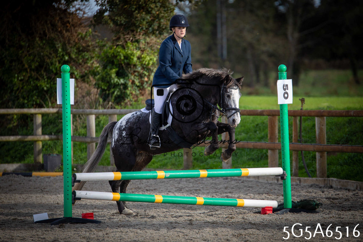 Funshine Show Jumping 2026 - Seniors