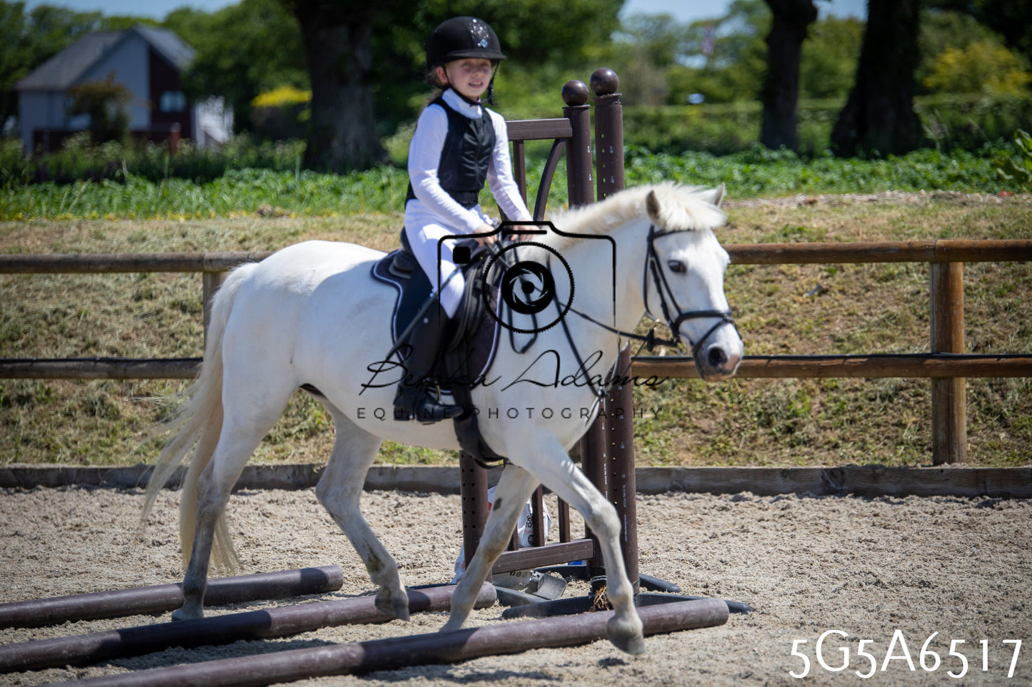 Home Farm Show Jumping 24th May 2026