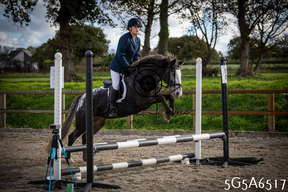 Funshine Show Jumping 2026 - Seniors
