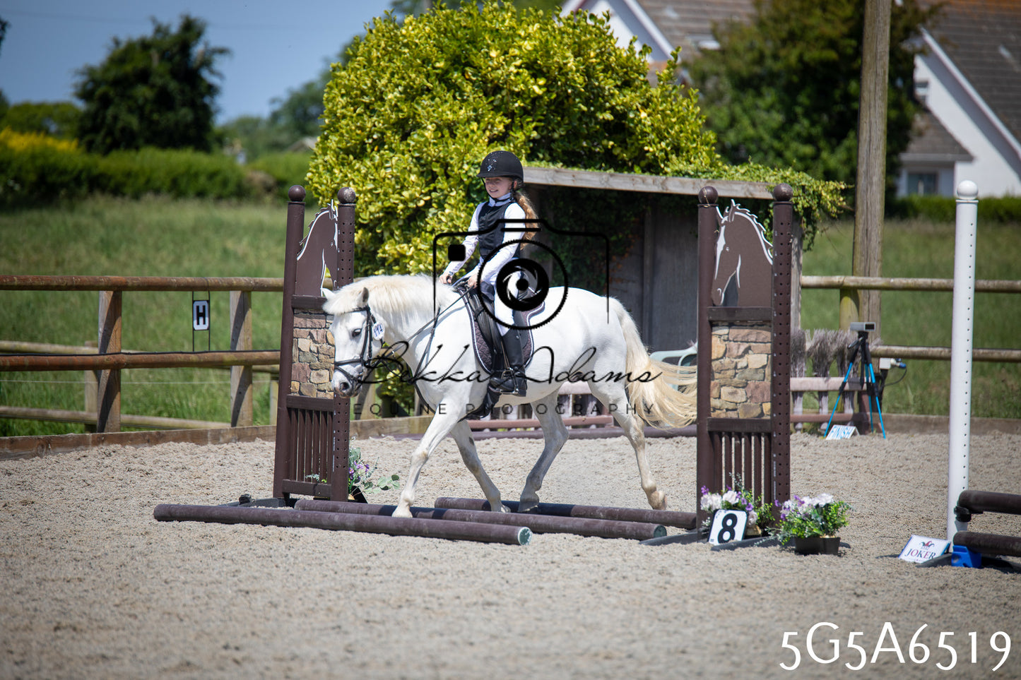 Home Farm Show Jumping 24th May 2026