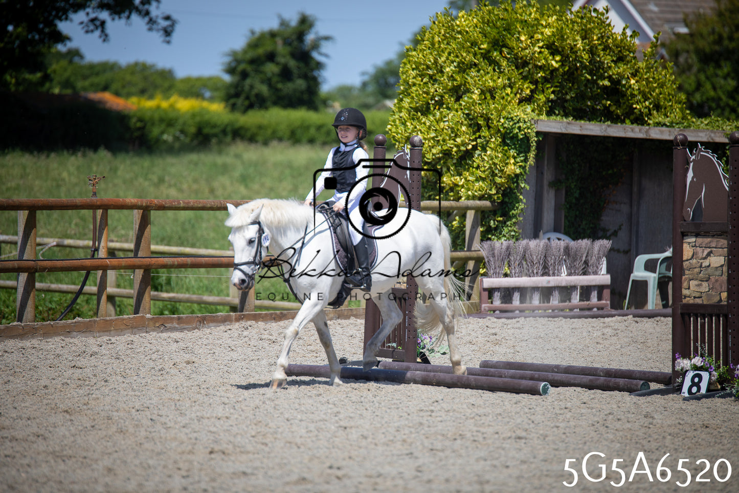 Home Farm Show Jumping 24th May 2026