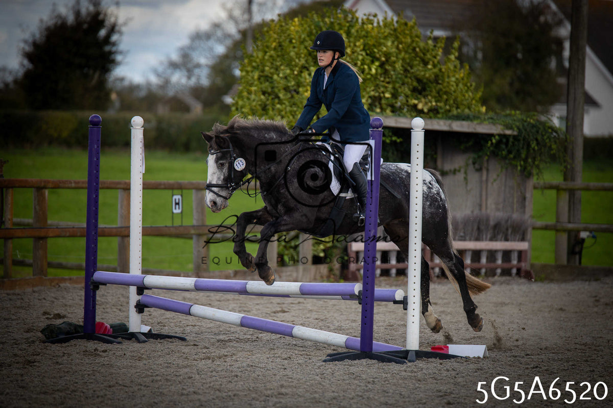 Funshine Show Jumping 2026 - Seniors