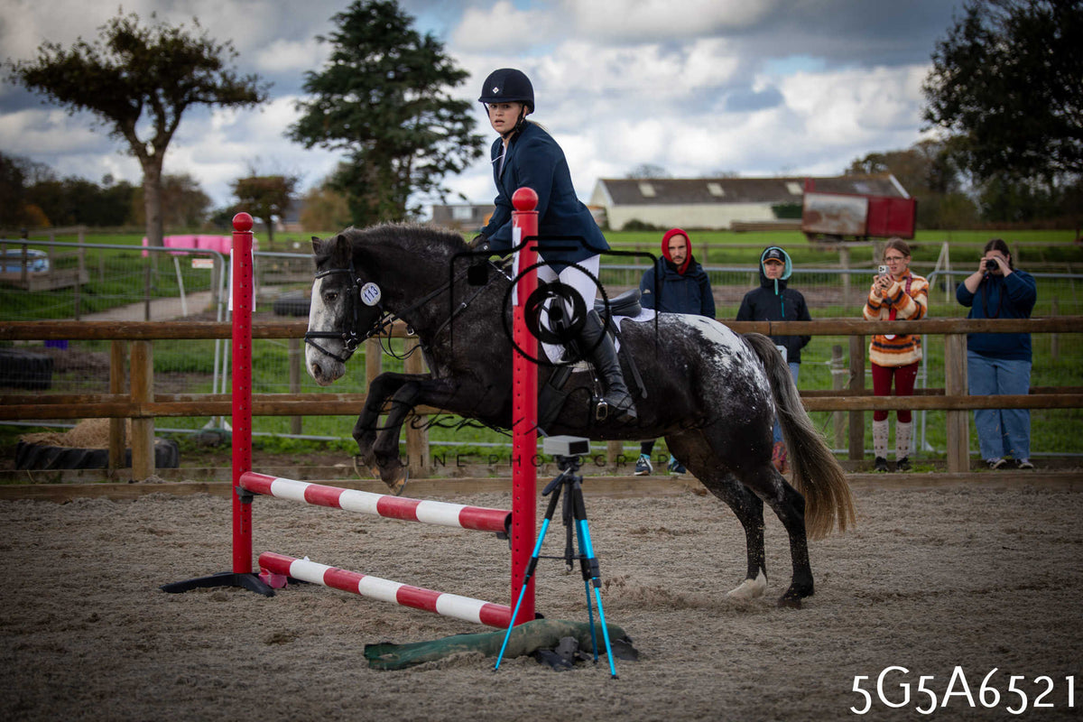 Funshine Show Jumping 2026 - Seniors
