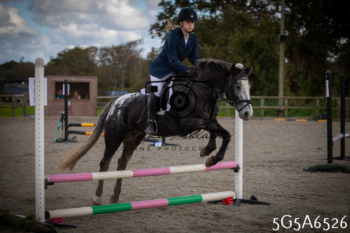 Funshine Show Jumping 2026 - Seniors