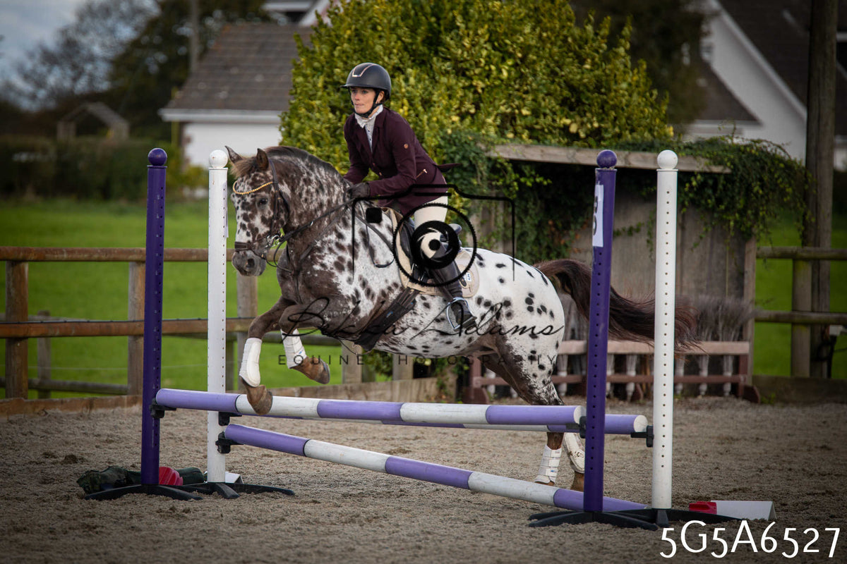 Funshine Show Jumping 2026 - Seniors