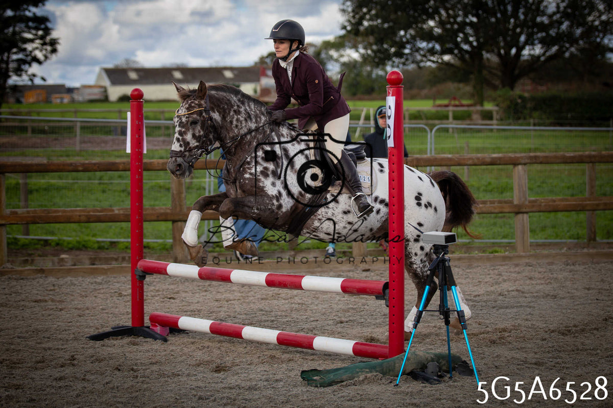 Funshine Show Jumping 2026 - Seniors