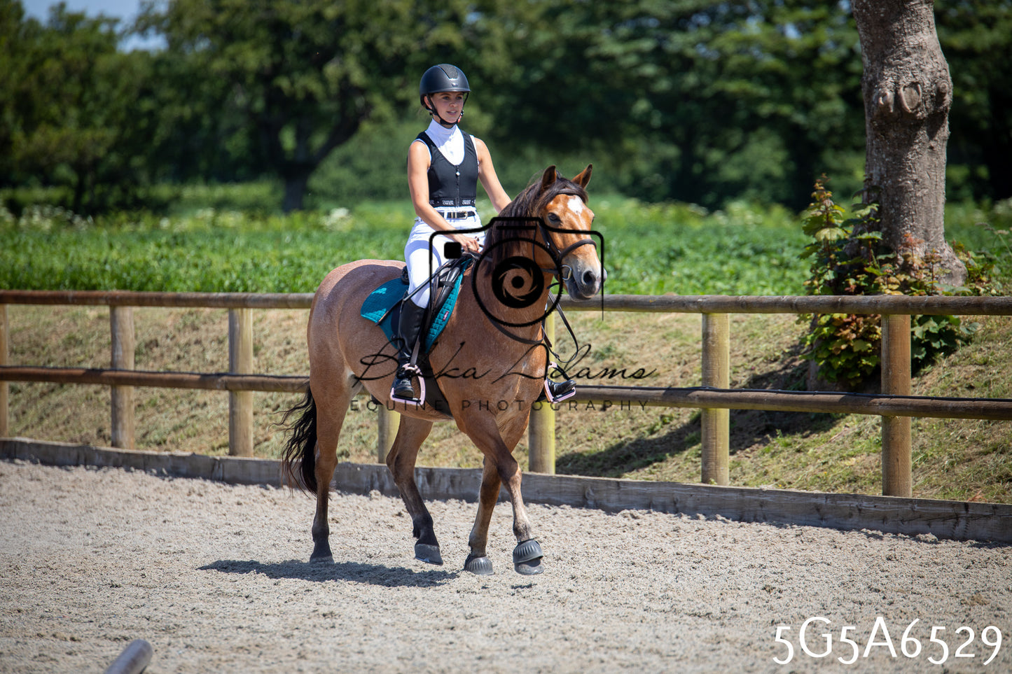 Home Farm Show Jumping 24th May 2026