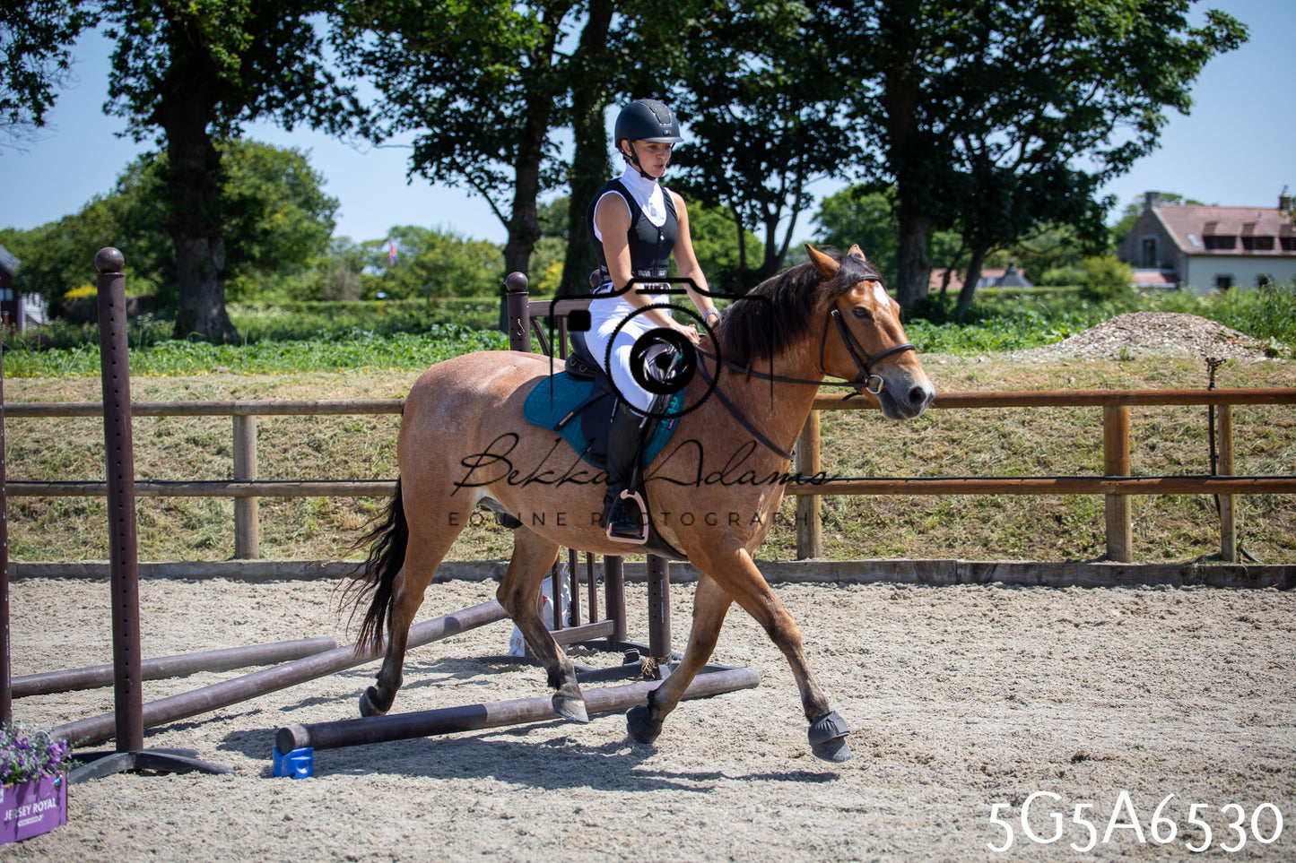 Home Farm Show Jumping 24th May 2026