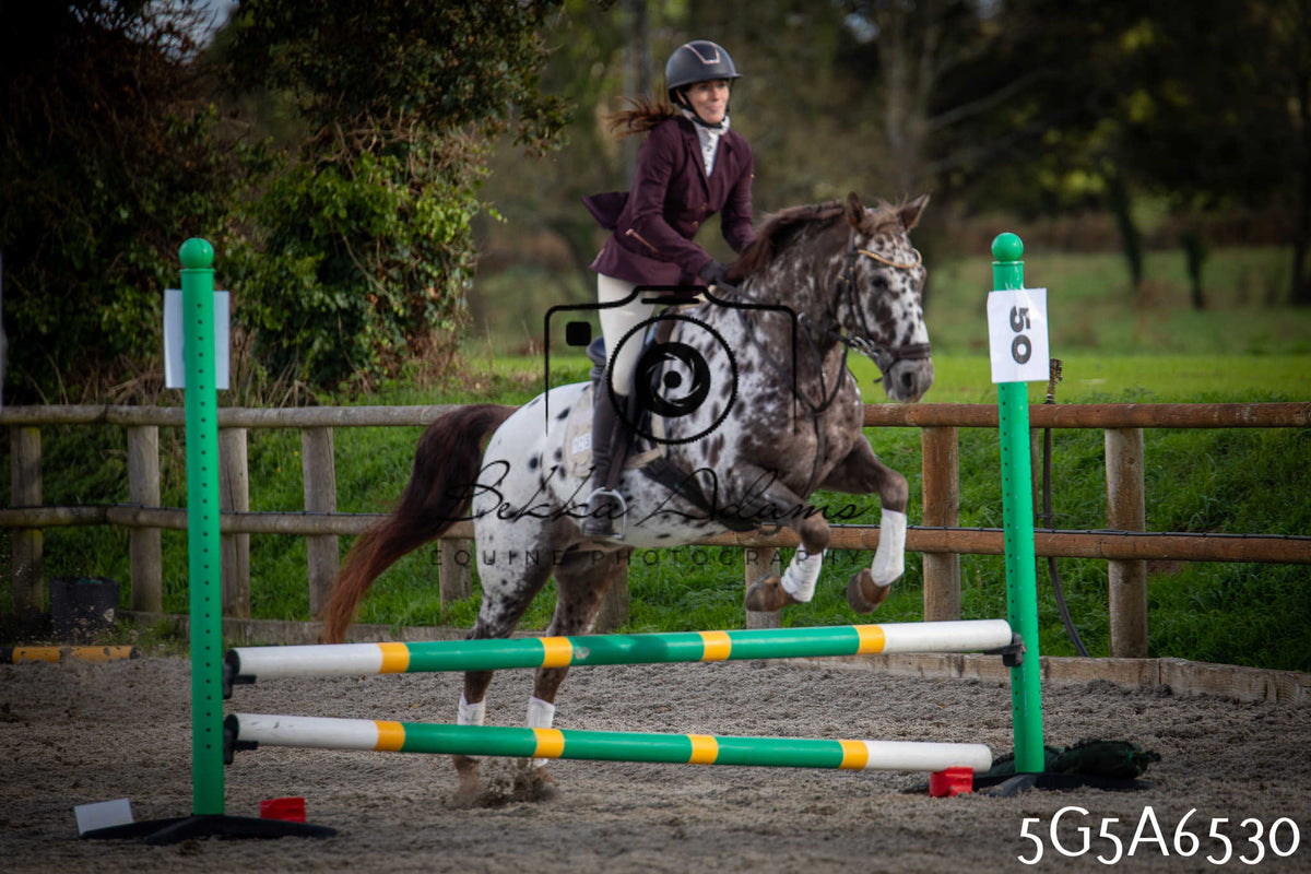 Funshine Show Jumping 2026 - Seniors