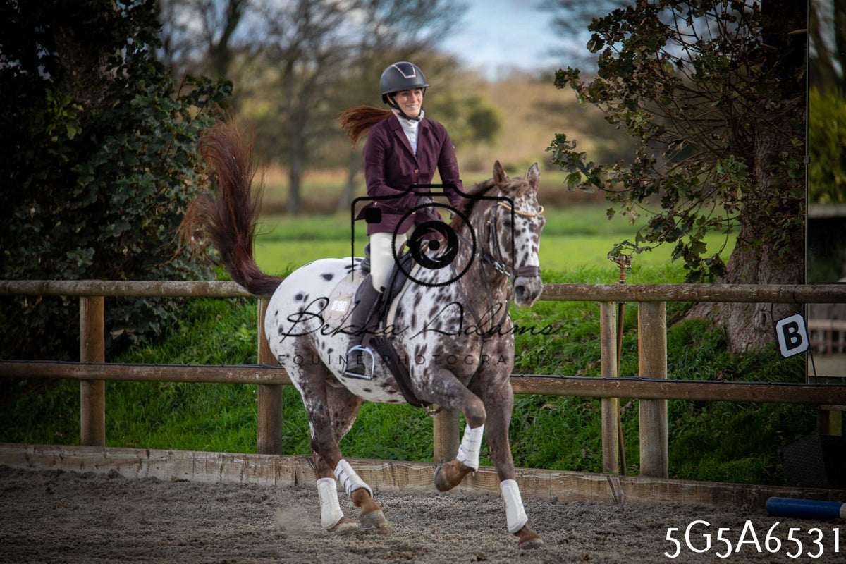 Funshine Show Jumping 2026 - Seniors