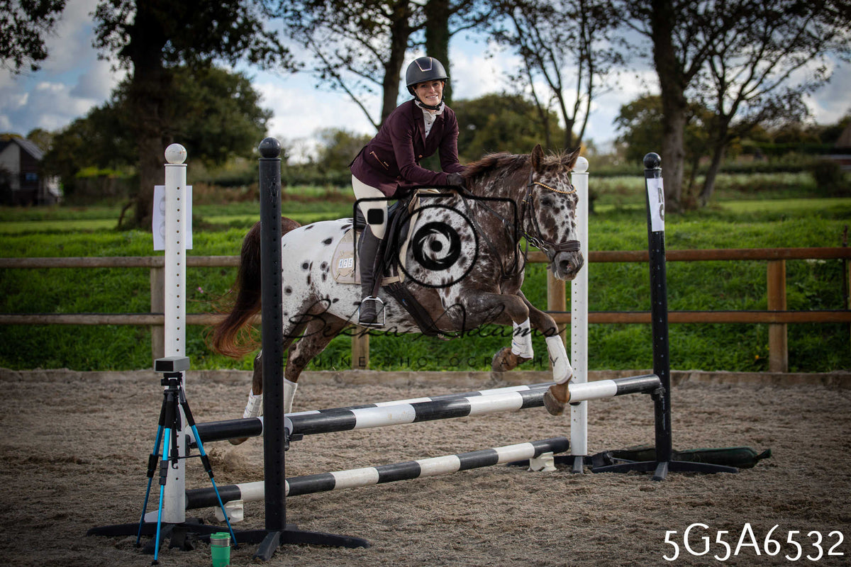 Funshine Show Jumping 2026 - Seniors