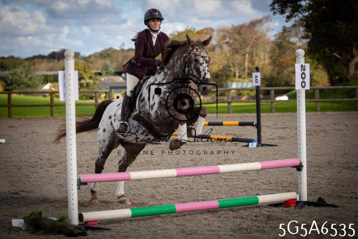 Funshine Show Jumping 2026 - Seniors