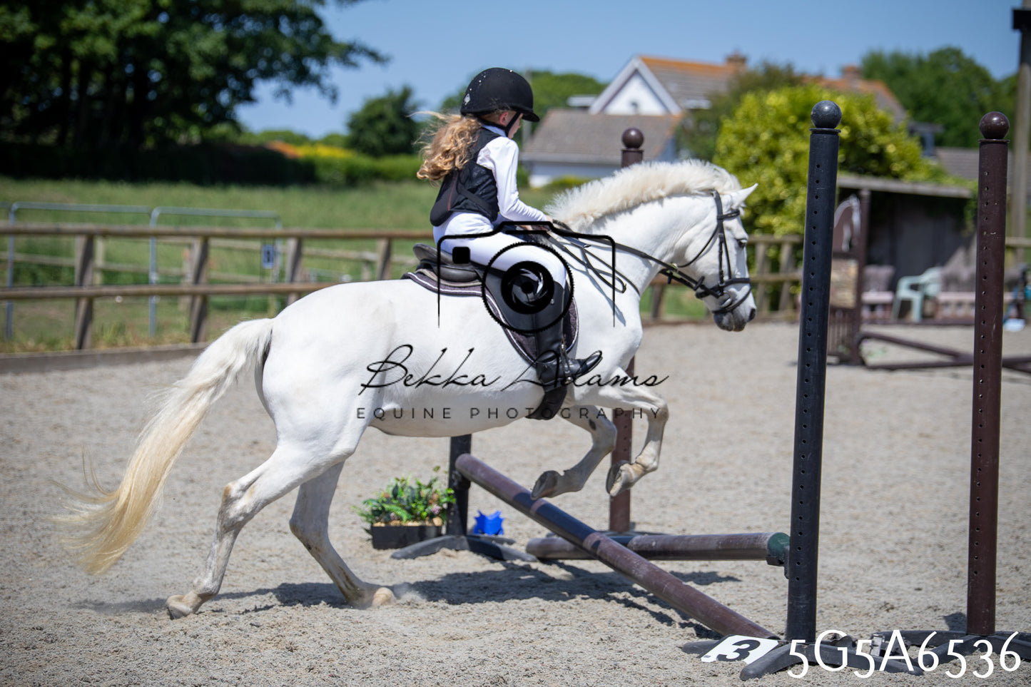 Home Farm Show Jumping 24th May 2026
