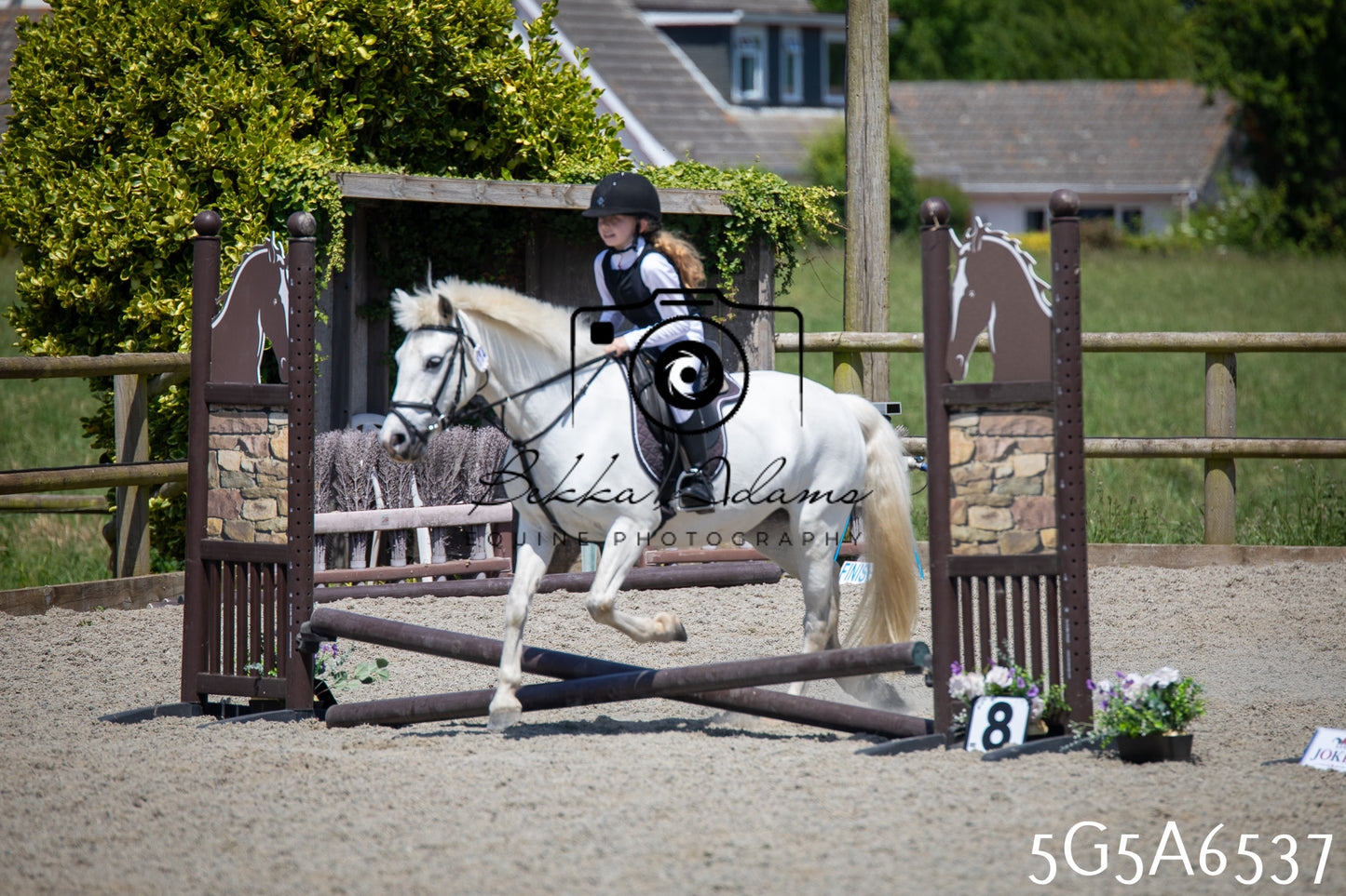 Home Farm Show Jumping 24th May 2026