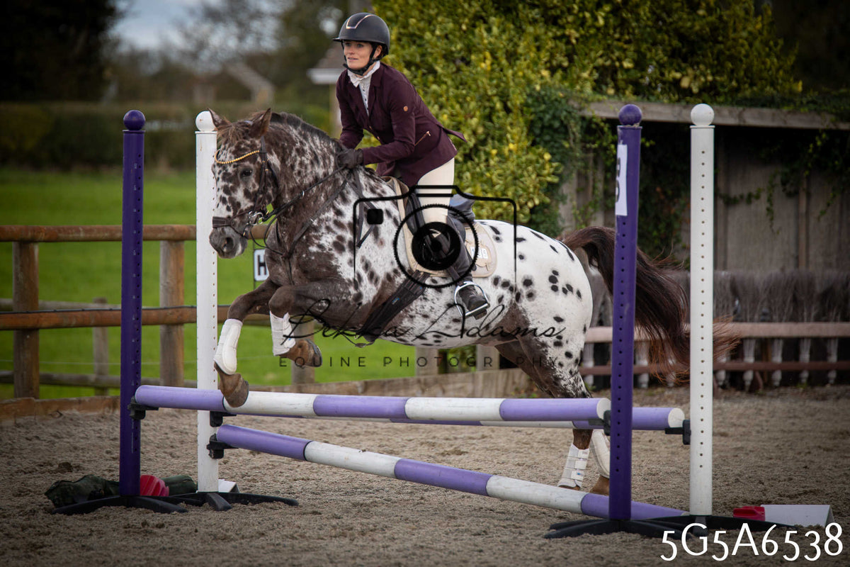 Funshine Show Jumping 2026 - Seniors