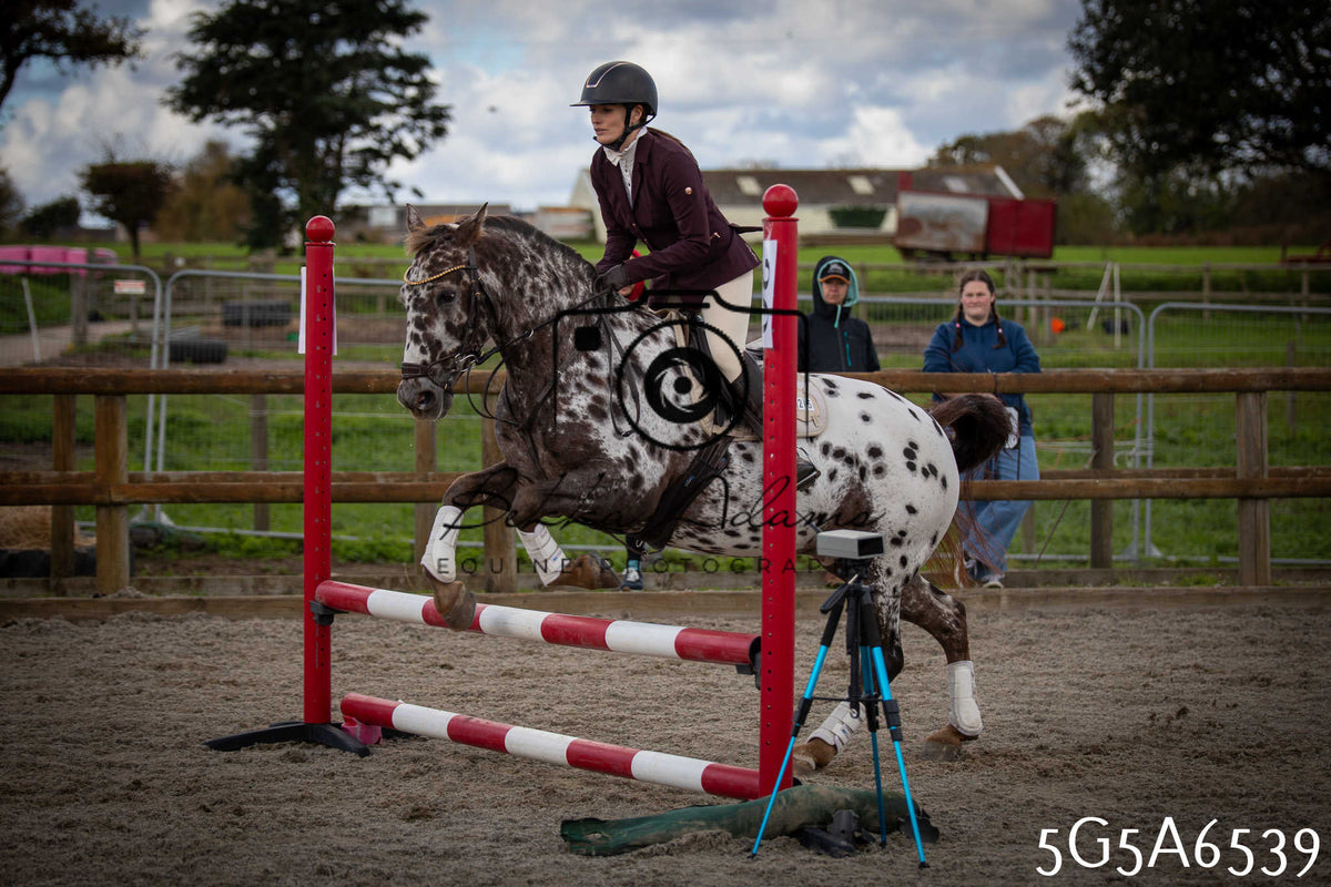 Funshine Show Jumping 2026 - Seniors