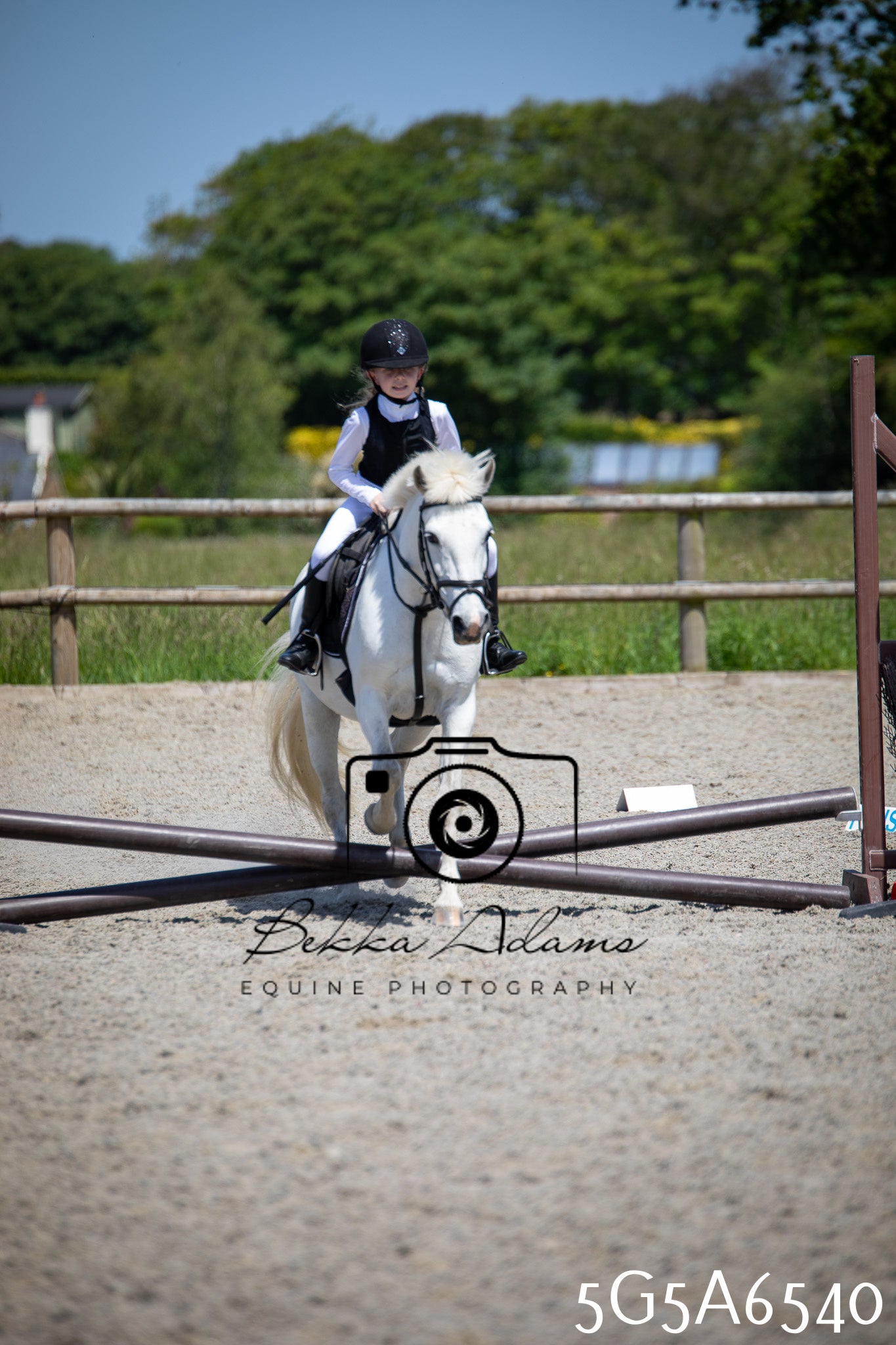 Home Farm Show Jumping 24th May 2026