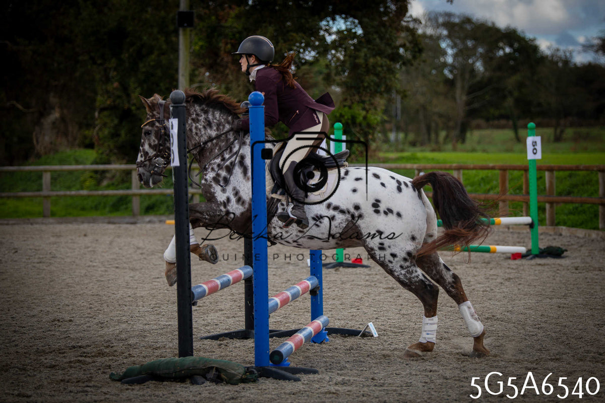 Funshine Show Jumping 2026 - Seniors