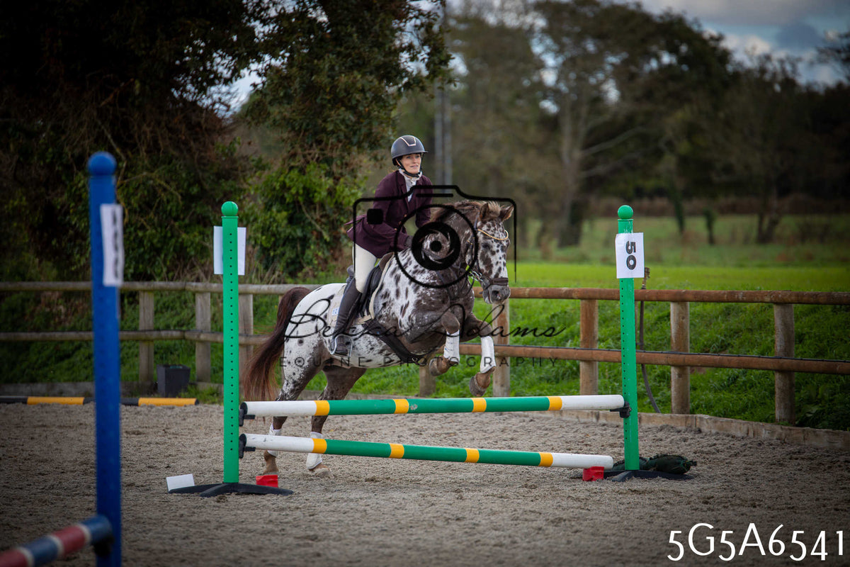 Funshine Show Jumping 2026 - Seniors