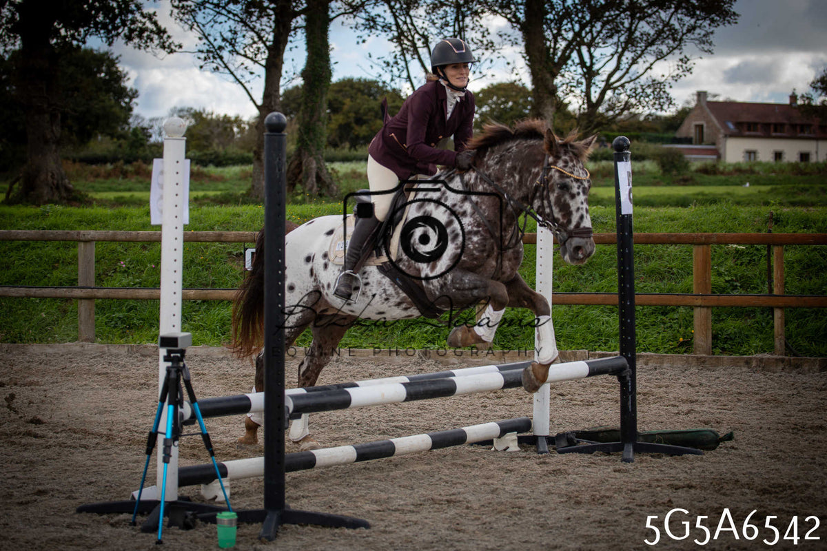 Funshine Show Jumping 2026 - Seniors