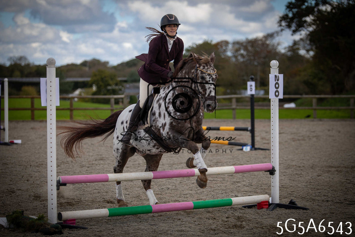 Funshine Show Jumping 2026 - Seniors