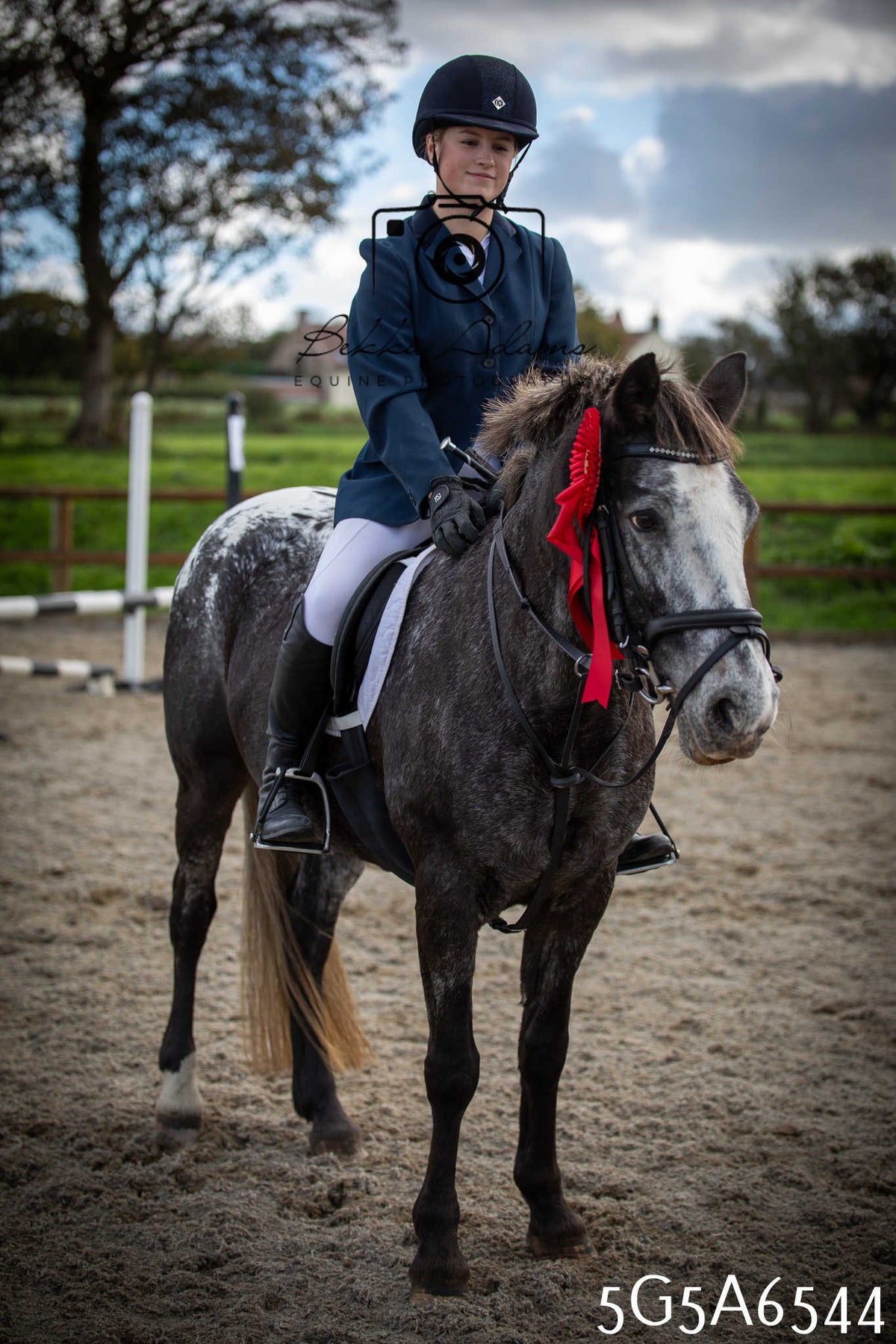 Funshine Show Jumping 2026 - Seniors