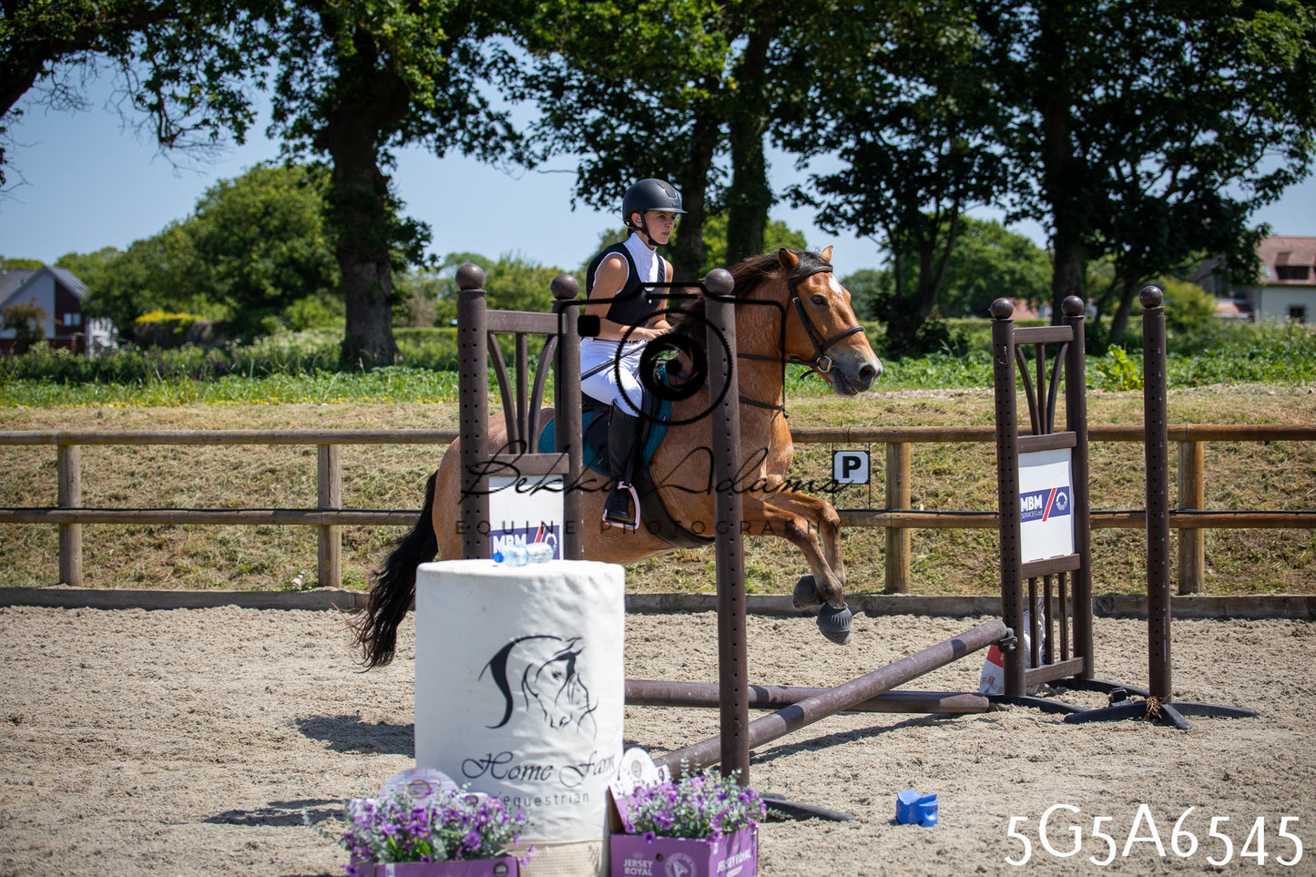 Home Farm Show Jumping 24th May 2026