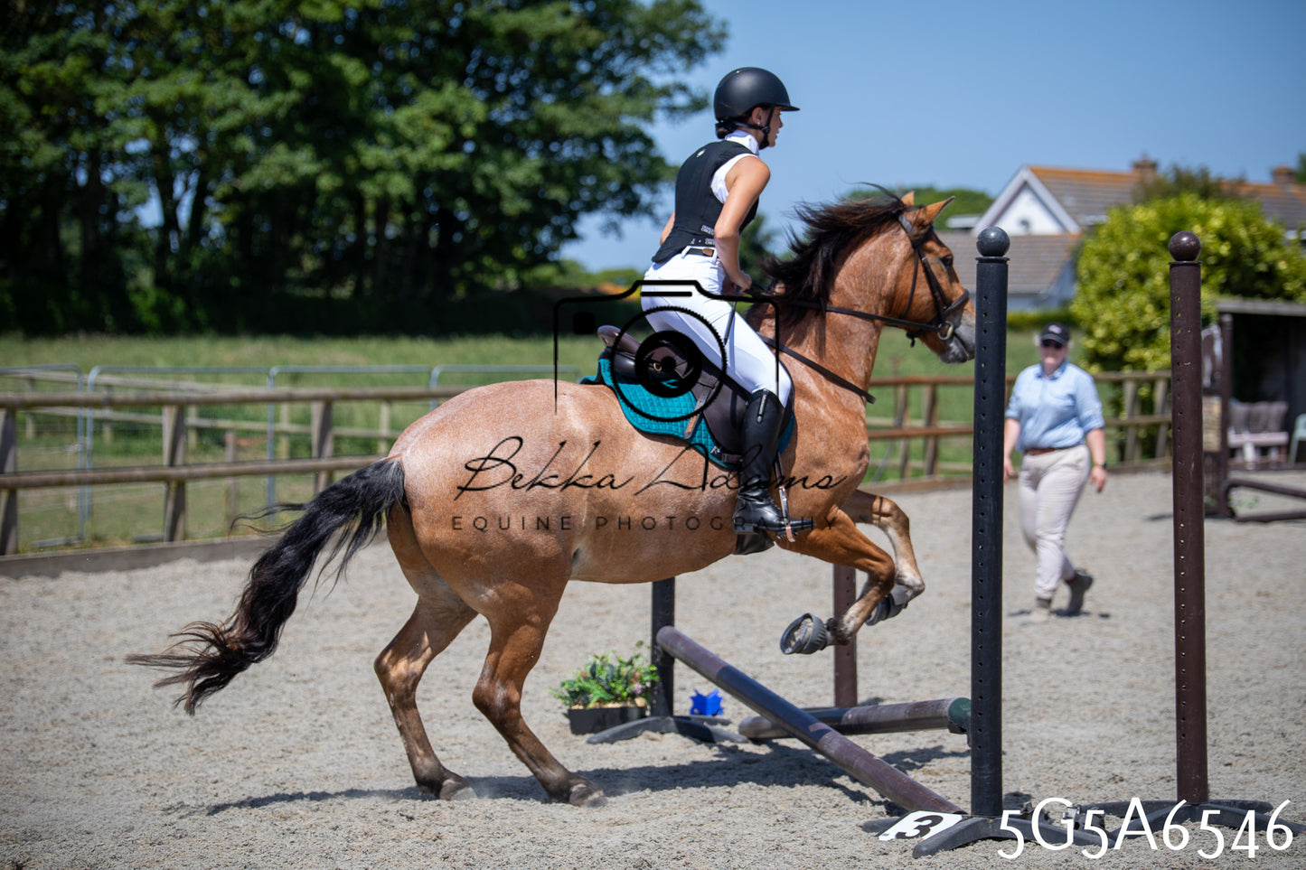 Home Farm Show Jumping 24th May 2026