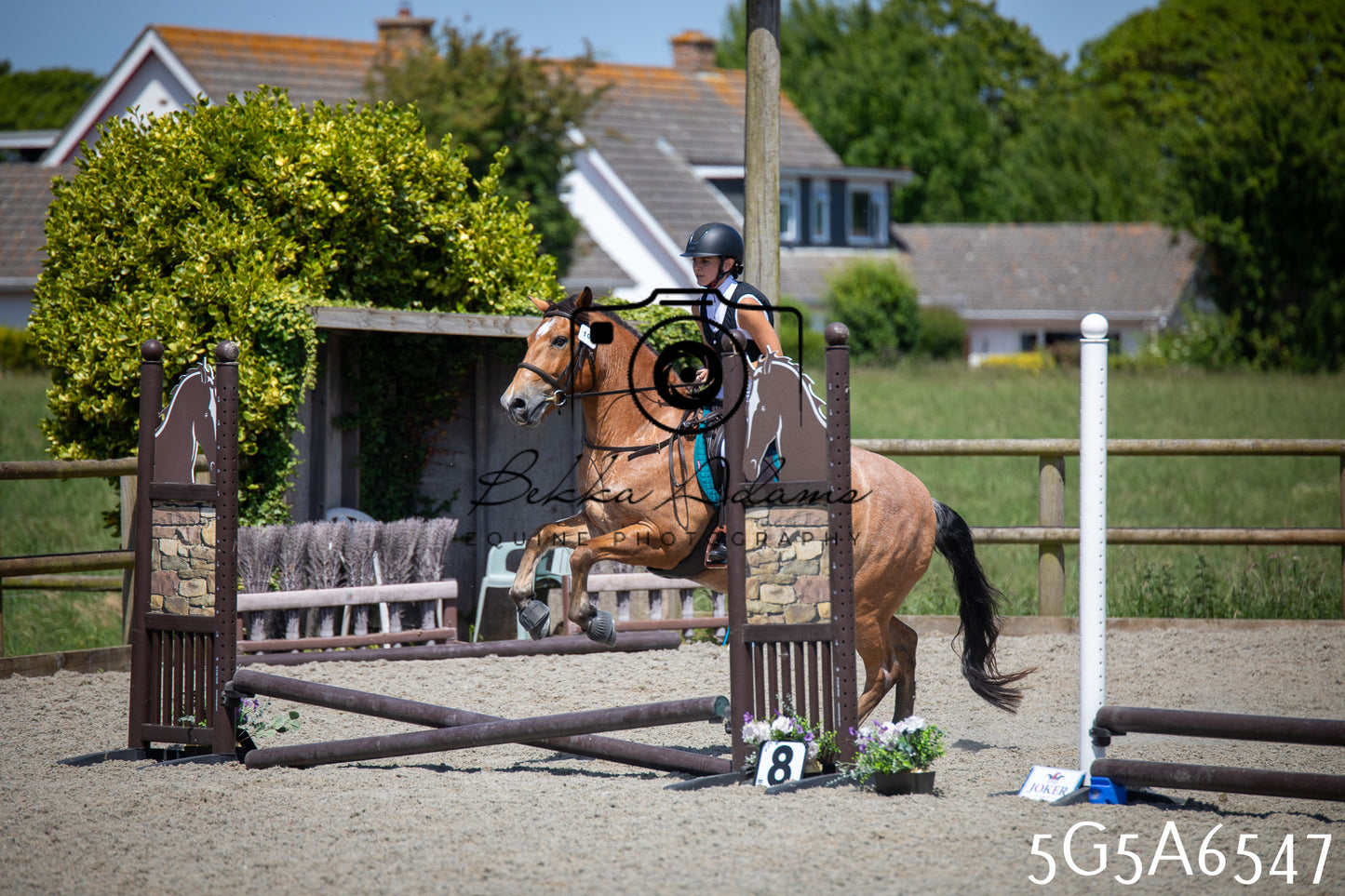 Home Farm Show Jumping 24th May 2026