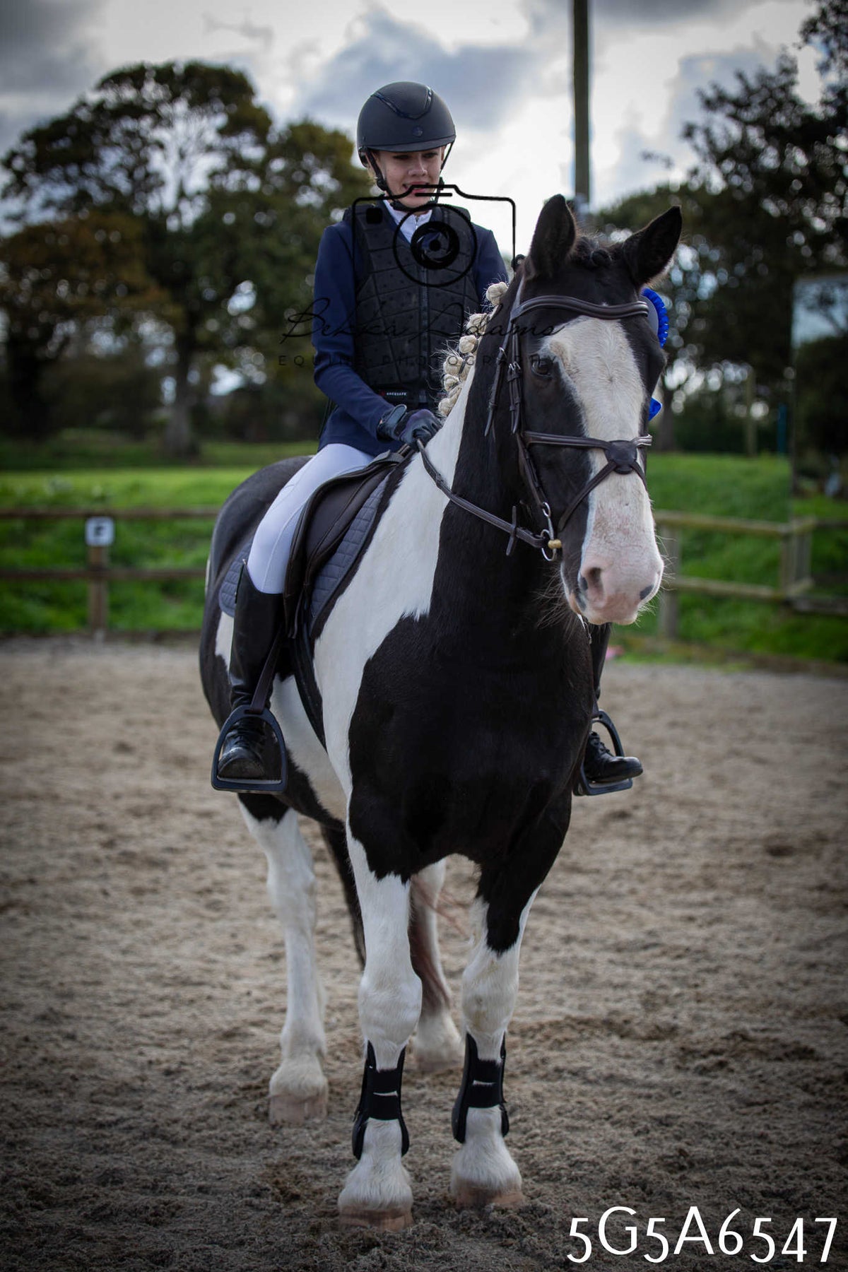 Funshine Show Jumping 2026 - Seniors