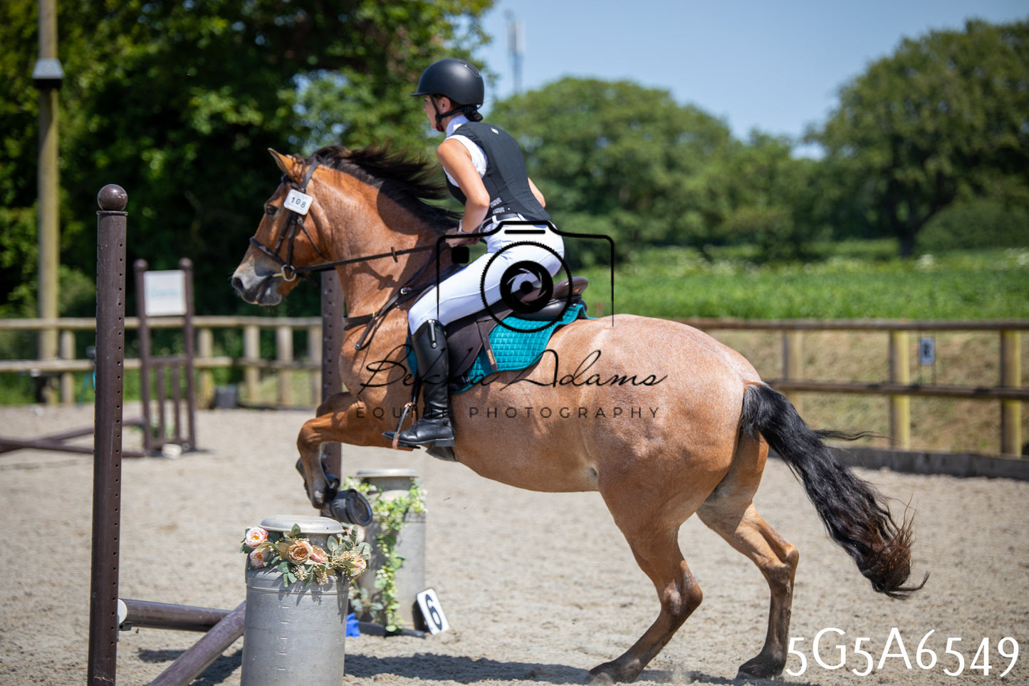 Home Farm Show Jumping 24th May 2026