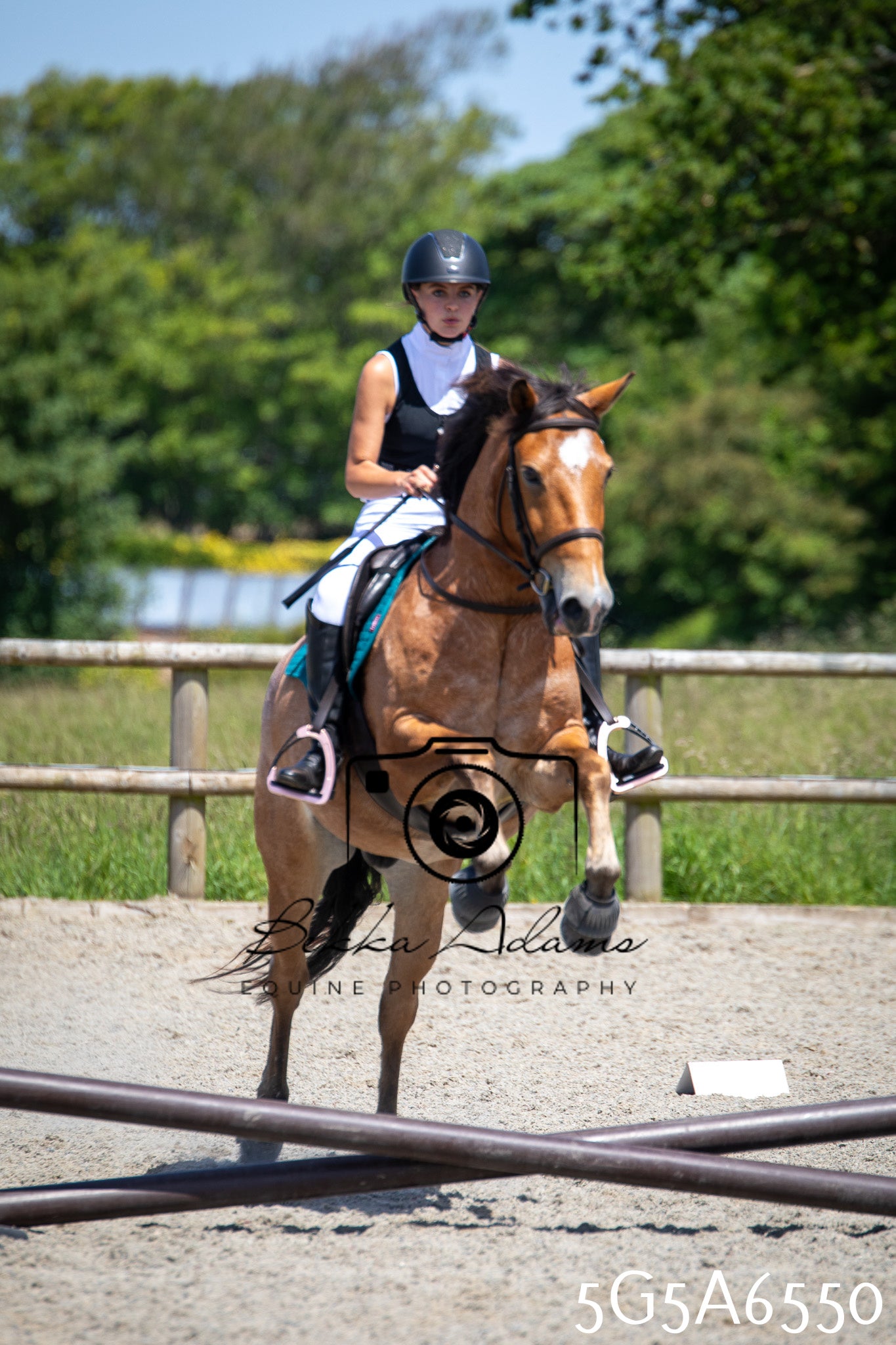 Home Farm Show Jumping 24th May 2026