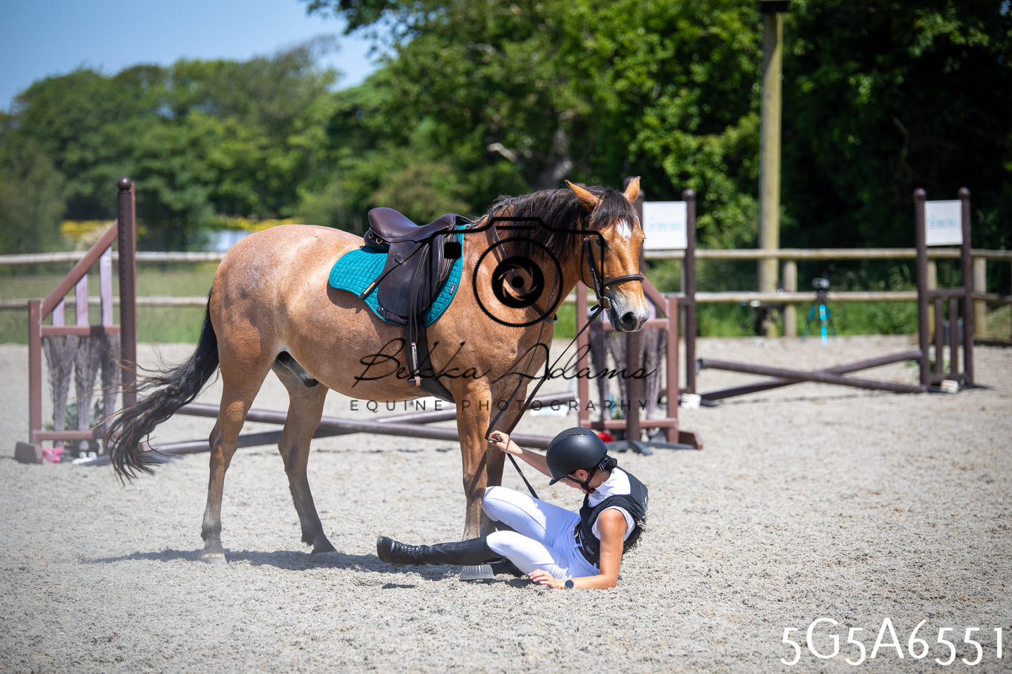 Home Farm Show Jumping 24th May 2026