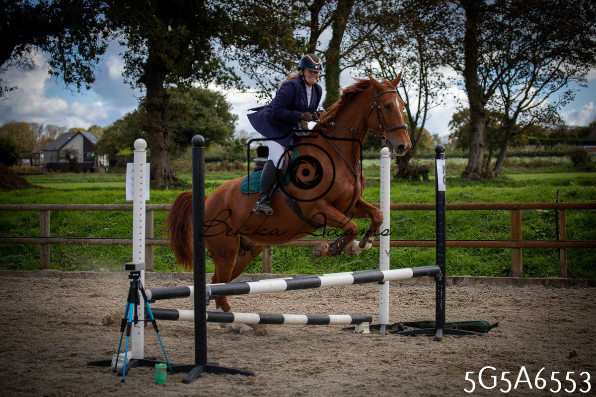 Funshine Show Jumping 2026 - Seniors