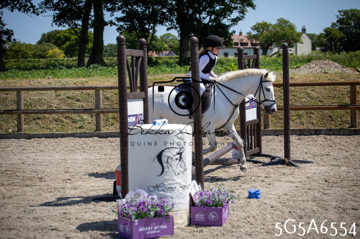 Home Farm Show Jumping 24th May 2026